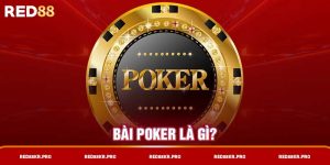 Bài poker là gì?