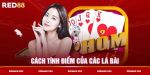 Hướng Dẫn Cách Chơi Bài Phỏm Từ A Đến Z Cho Newbie