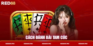 Hướng dẫn cách chơi bài Tam Cúc