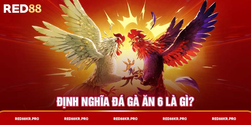 Định nghĩa đá gà ăn 6 là gì?