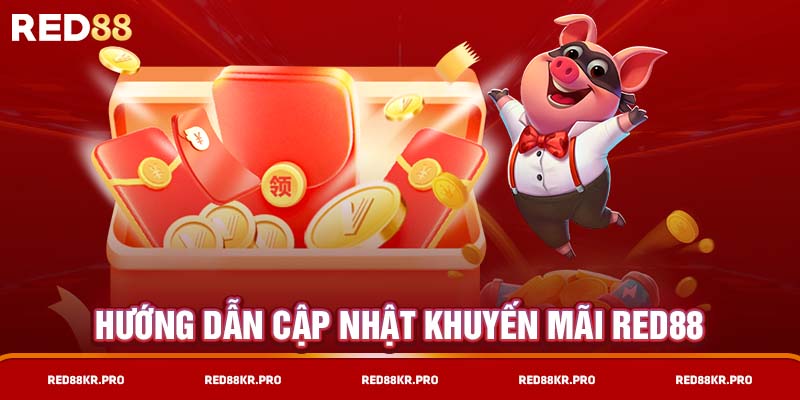 Hướng dẫn cập nhật khuyến mãi RED88