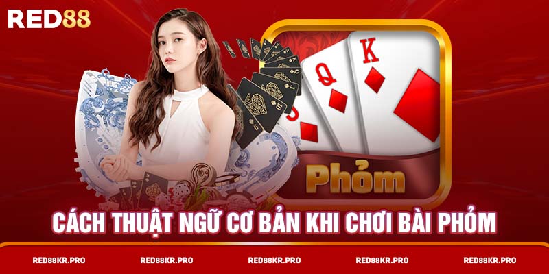 Cách thuật ngữ cơ bản khi chơi bài phỏm 