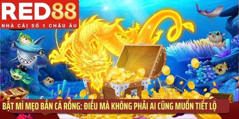 Bật mí mẹo bắn cá Rồng: điều mà không phải ai cũng muốn tiết lộ