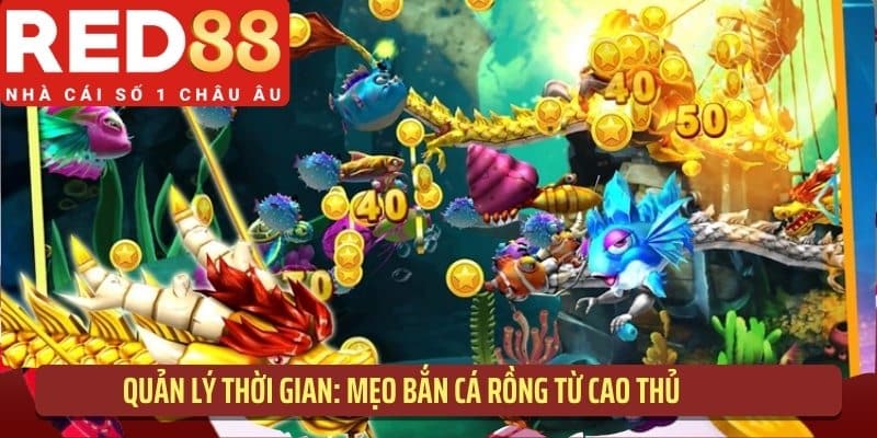 Quản lý thời gian: bật mí mẹo bắn cá Rồng từ cao thủ