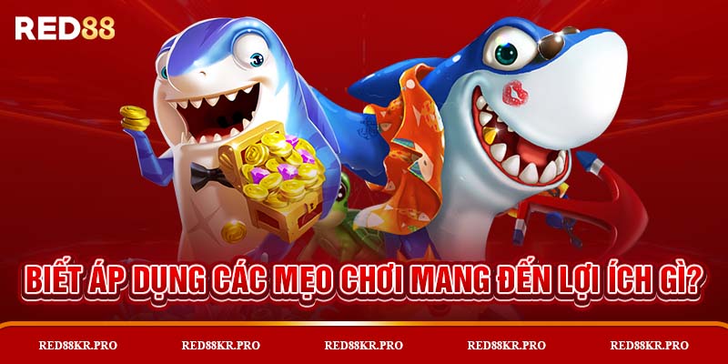 Biết áp dụng các mẹo chơi mang đến lợi ích gì?