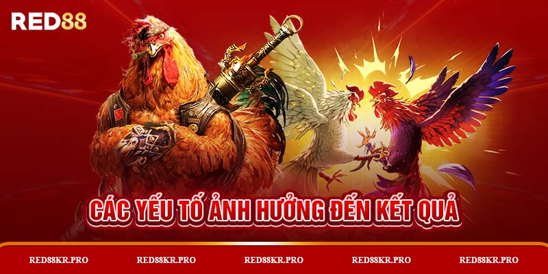 Các yếu tố ảnh hưởng đến kết quả