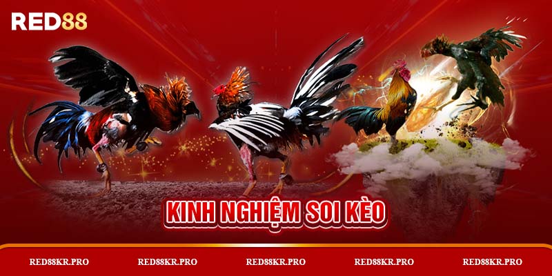 Kinh nghiệm soi kèo