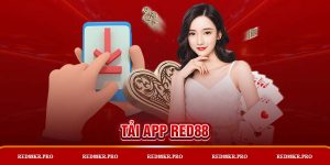 Tải APP RED88