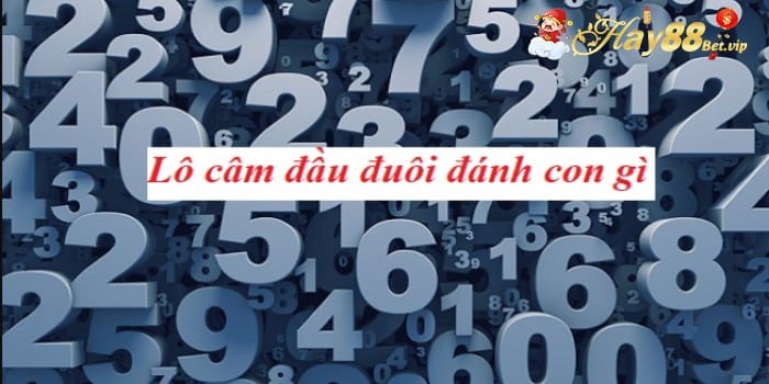 Lô Đầu 2 Câm Đánh Con Gì? – HAY88 Chỉ Mẹo Chọn Số Chuẩn Xác